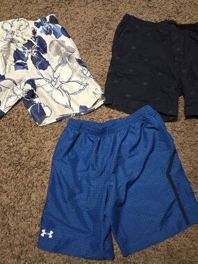 Under Armour Blue Men's Swim Shorts